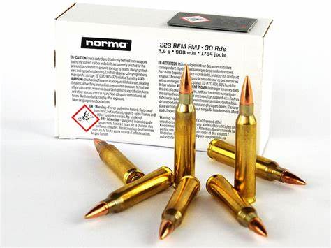 Amunicja .223 Tactical FMJ 3,56g/55gr (wkrótce w ofercie)