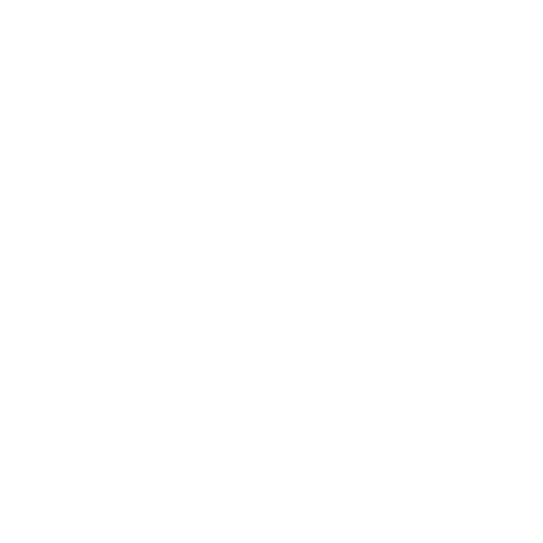 AS GUNS 